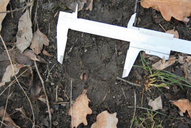 impronta da identificare